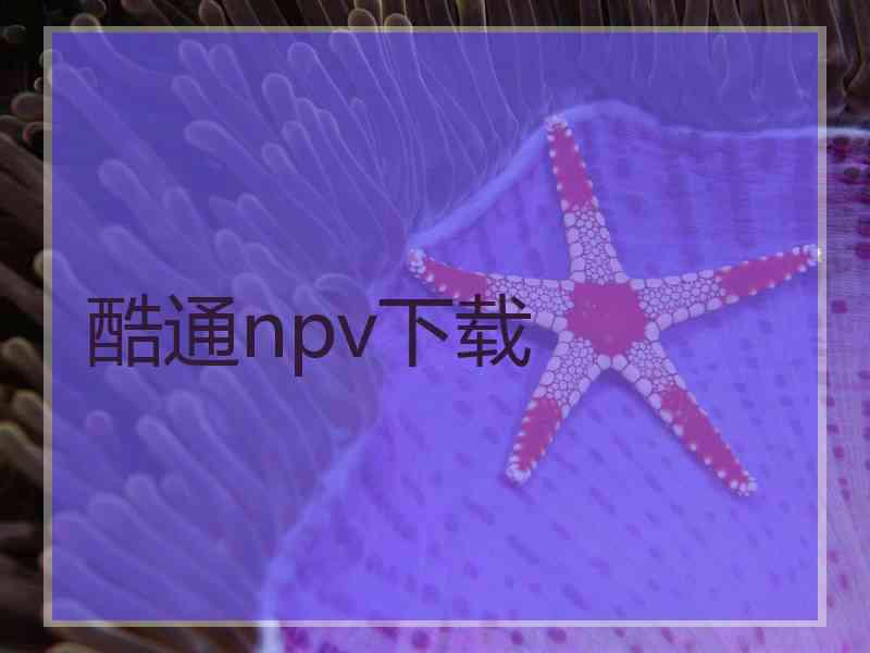 酷通npv下载