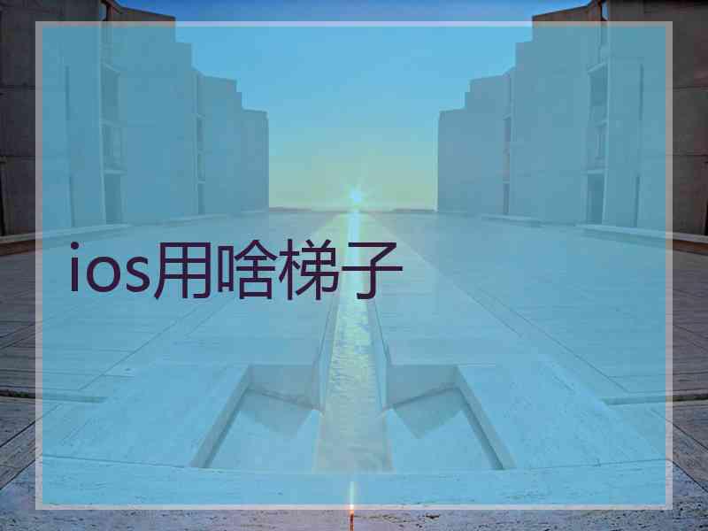 ios用啥梯子