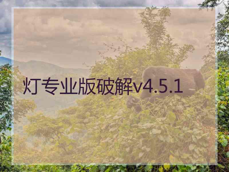 灯专业版破解v4.5.1