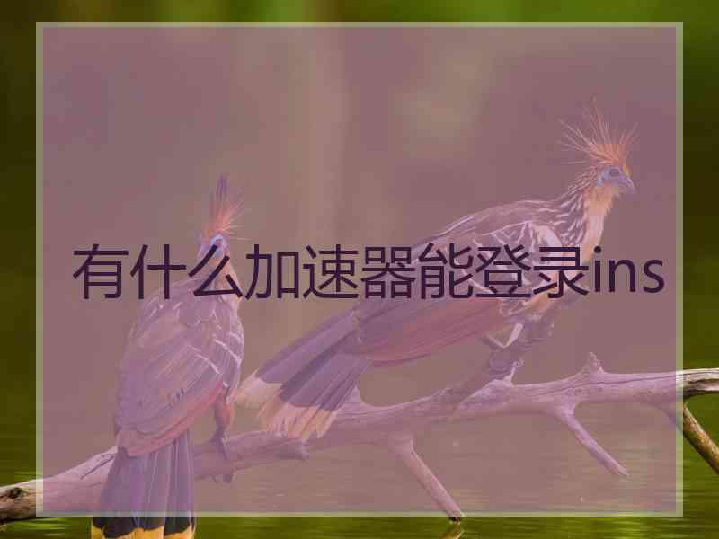 有什么加速器能登录ins