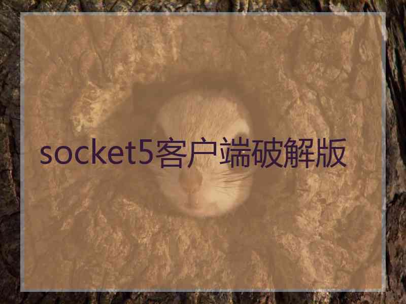 socket5客户端破解版