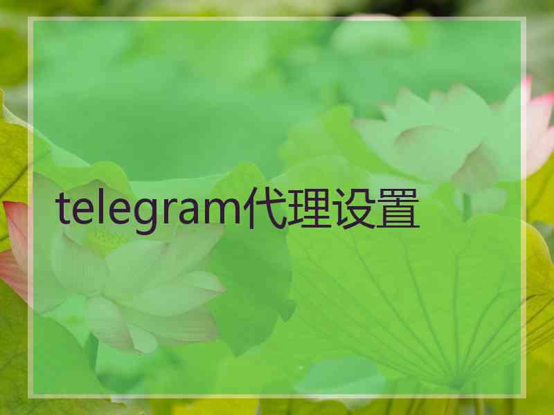 telegram代理设置