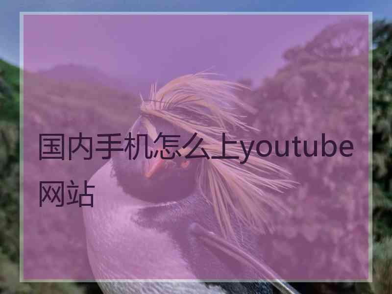 国内手机怎么上youtube网站