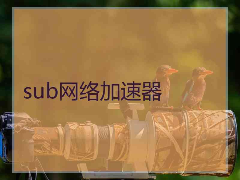 sub网络加速器