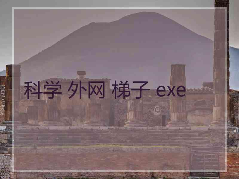 科学 外网 梯子 exe