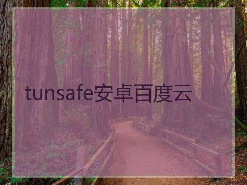 tunsafe安卓百度云