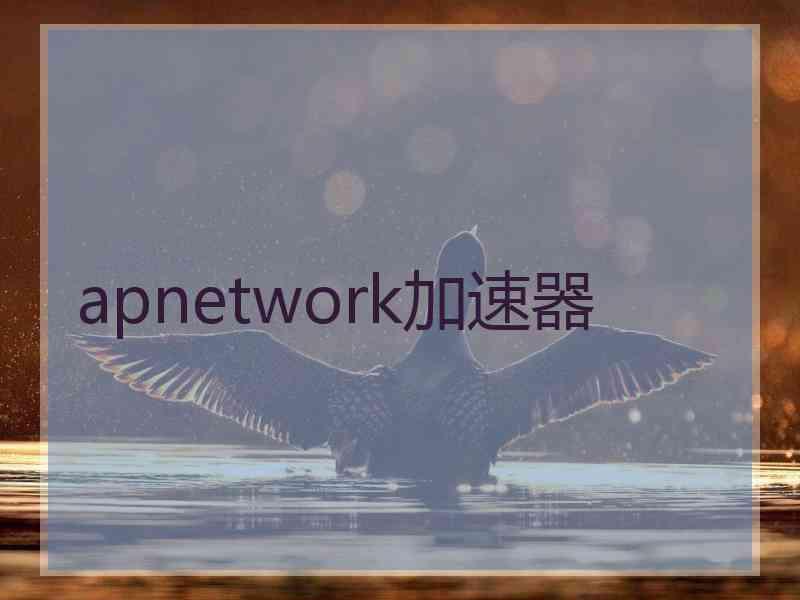 apnetwork加速器