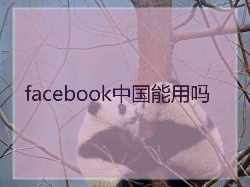 facebook中国能用吗