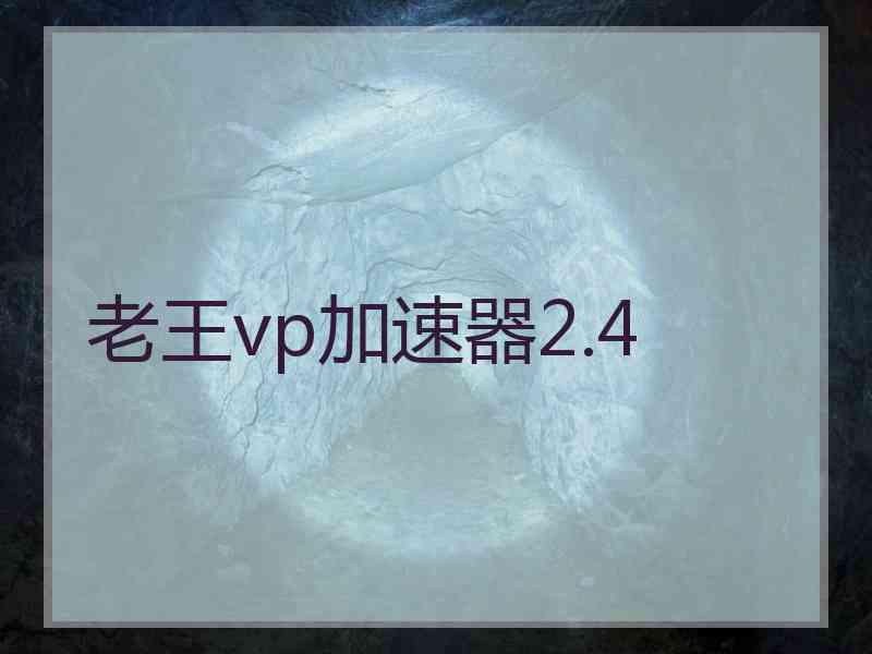 老王vp加速器2.4