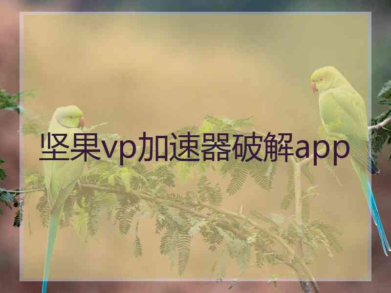 坚果vp加速器破解app