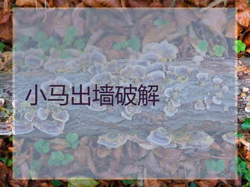 小马出墙破解