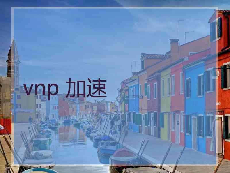 vnp 加速