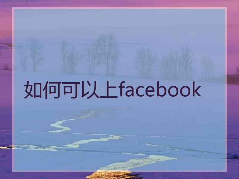 如何可以上facebook