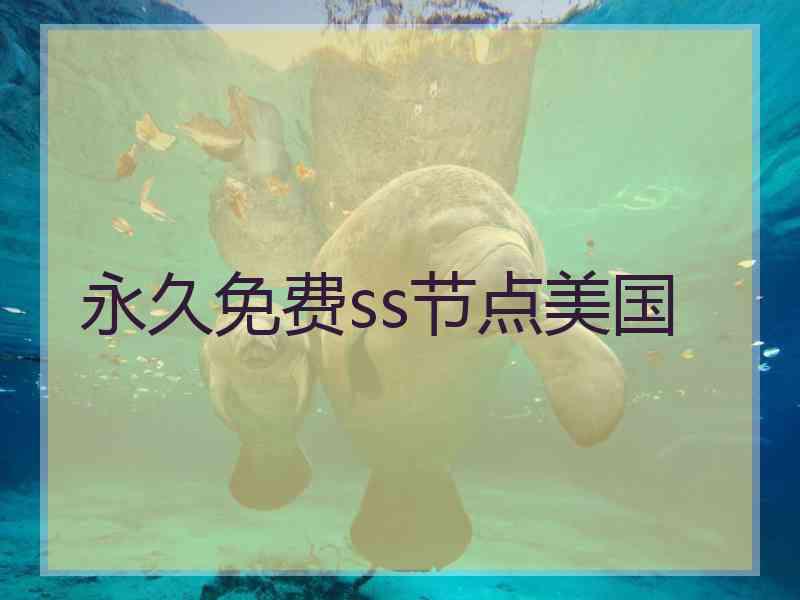 永久免费ss节点美国