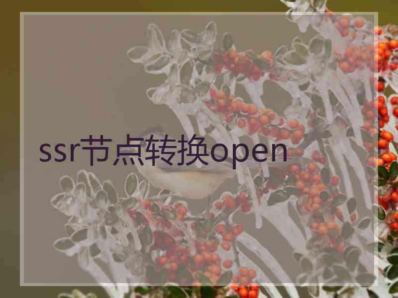 ssr节点转换open