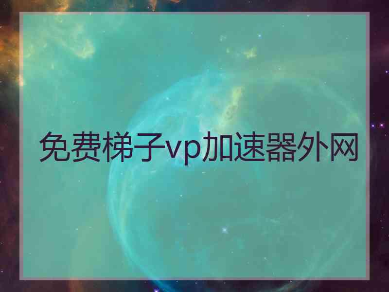 免费梯子vp加速器外网