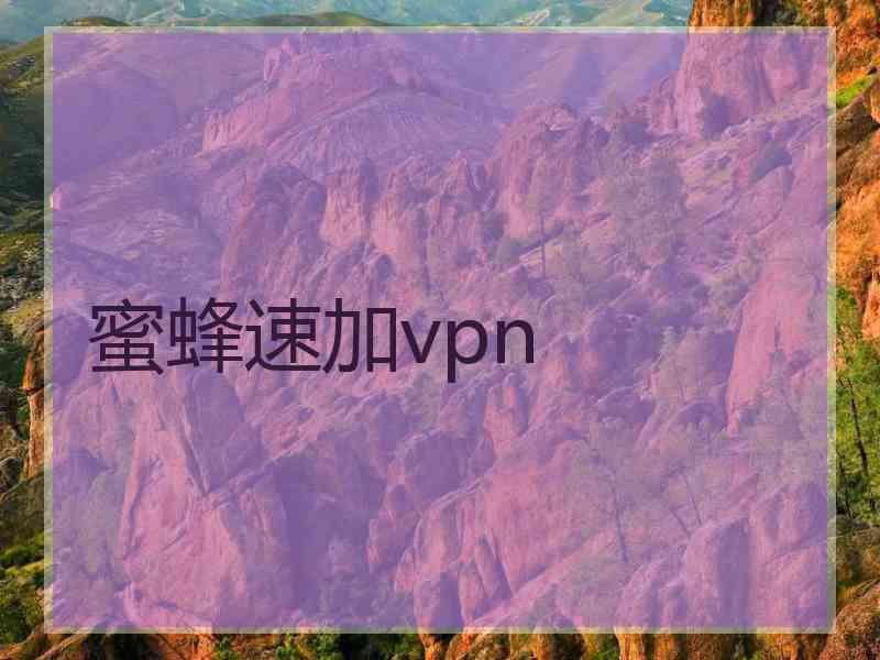 蜜蜂速加vpn