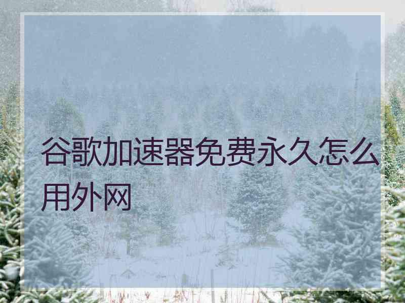 谷歌加速器免费永久怎么用外网