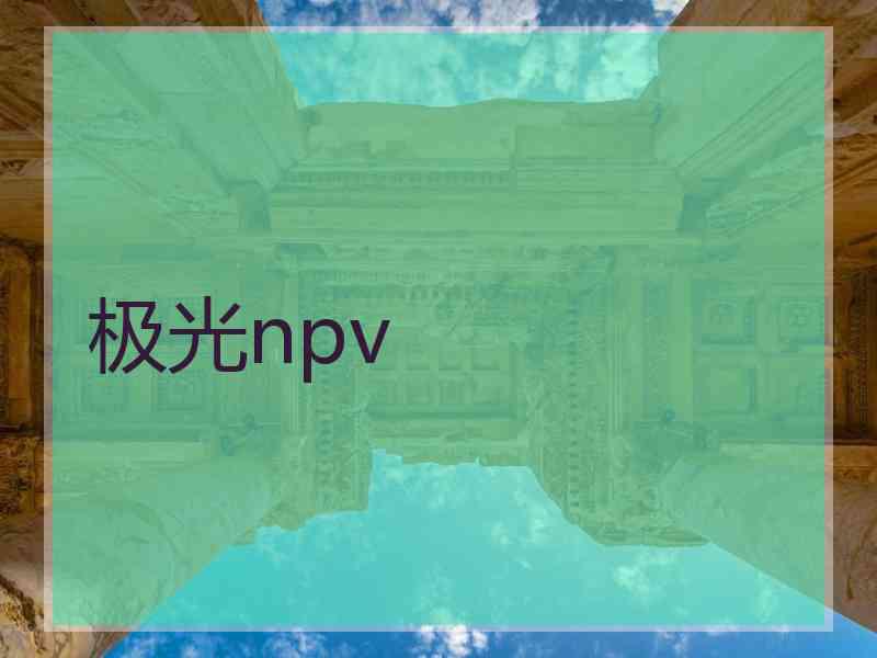 极光npv