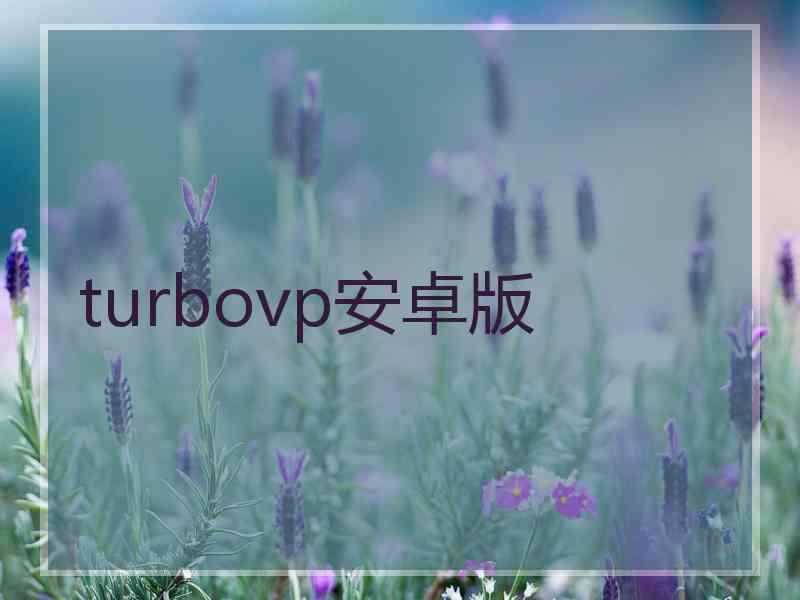 turbovp安卓版