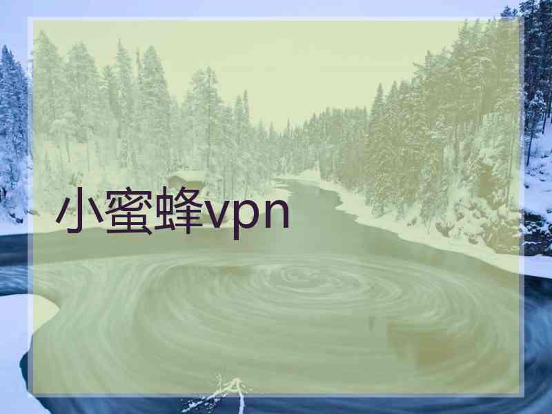 小蜜蜂vpn