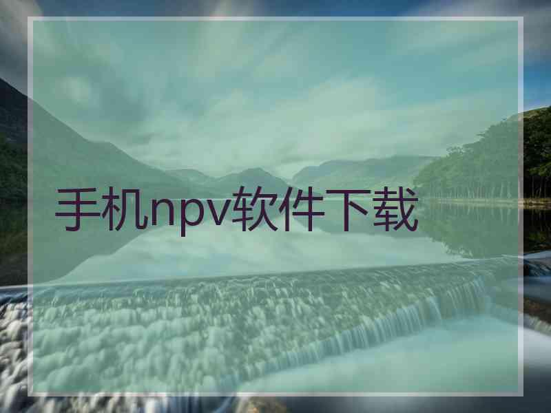 手机npv软件下载