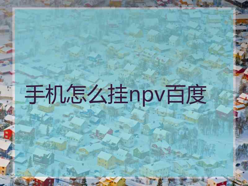 手机怎么挂npv百度