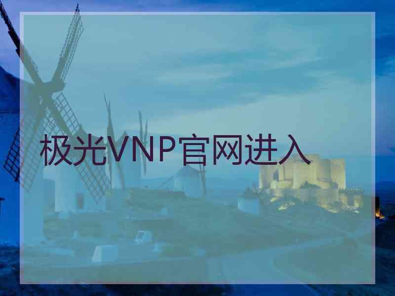 极光VNP官网进入