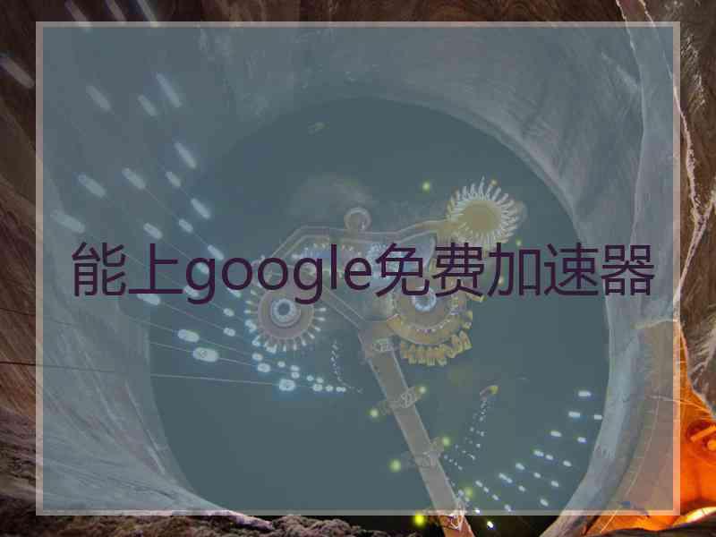 能上google免费加速器