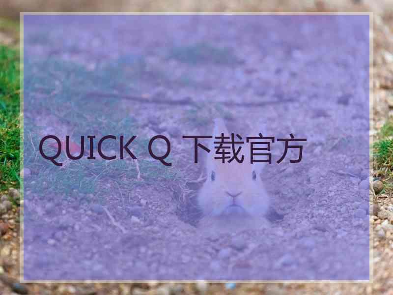 QUICK Q 下载官方