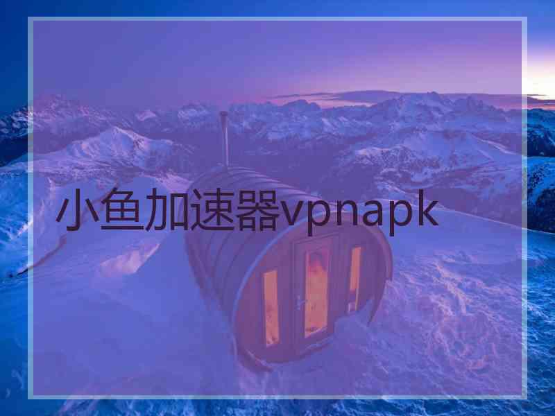 小鱼加速器vpnapk