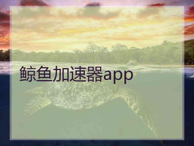 鲸鱼加速器app