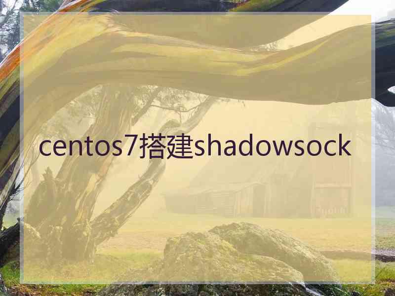 centos7搭建shadowsock