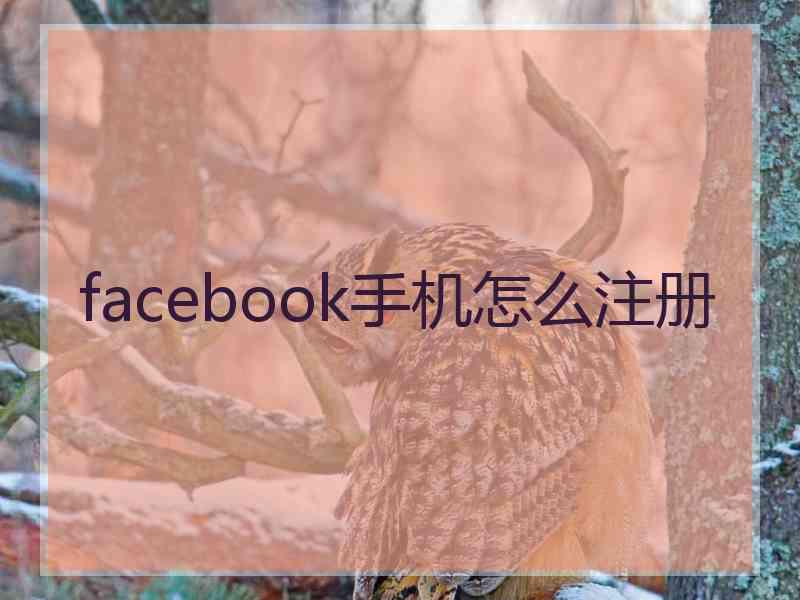 facebook手机怎么注册