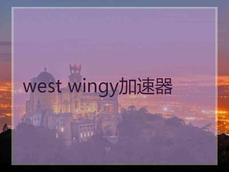 west wingy加速器