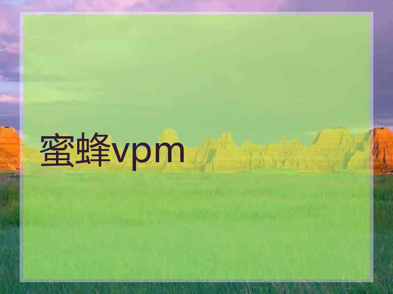 蜜蜂vpm