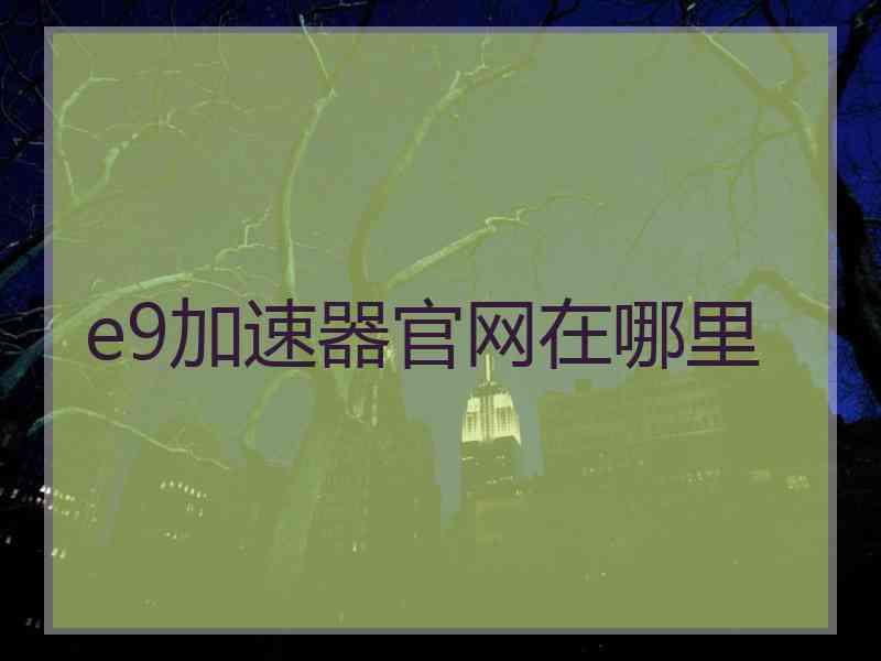 e9加速器官网在哪里