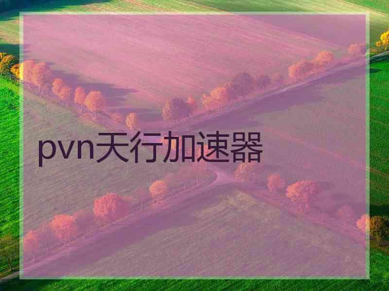 pvn天行加速器