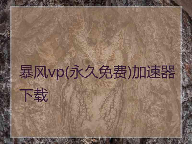 暴风vp(永久免费)加速器下载