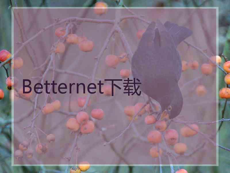 Betternet下载