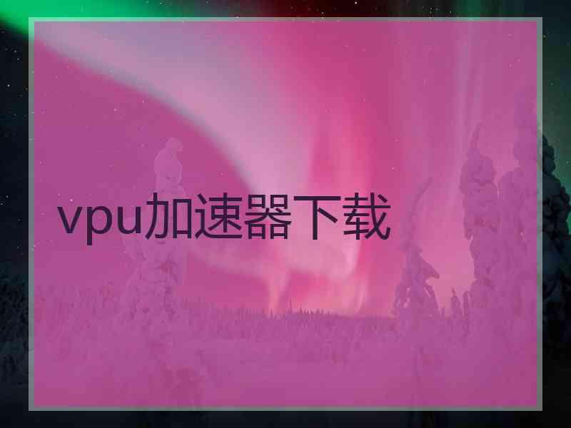 vpu加速器下载