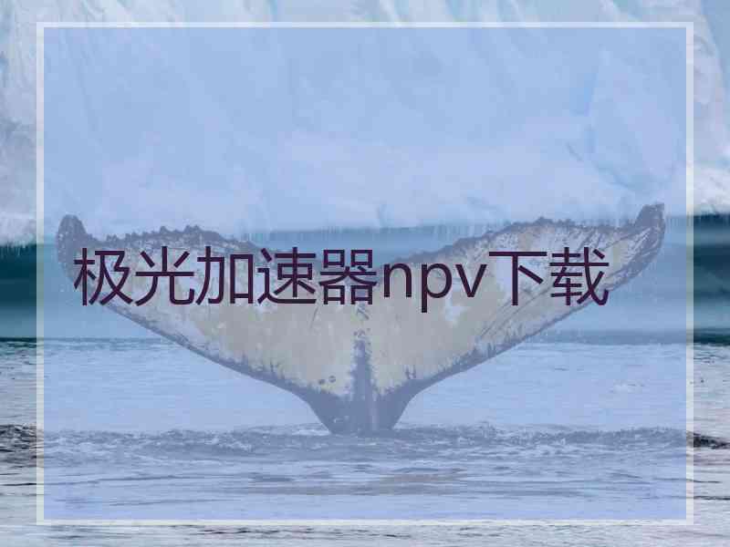 极光加速器npv下载