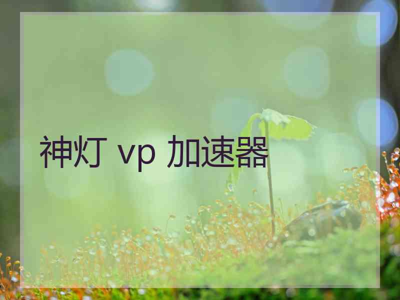 神灯 vp 加速器