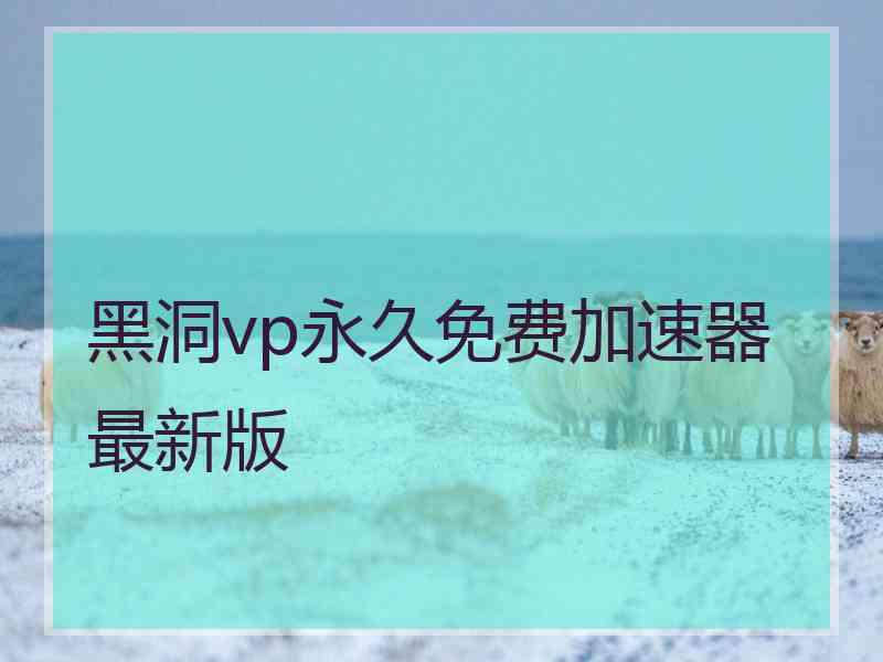 黑洞vp永久免费加速器最新版