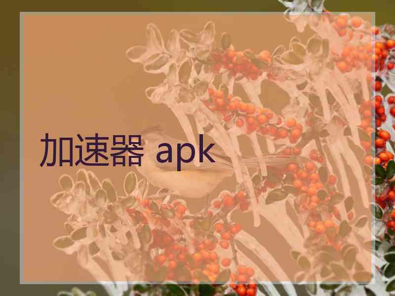 加速器 apk