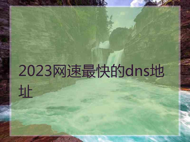 2023网速最快的dns地址