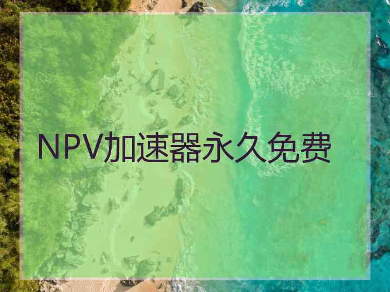 NPV加速器永久免费