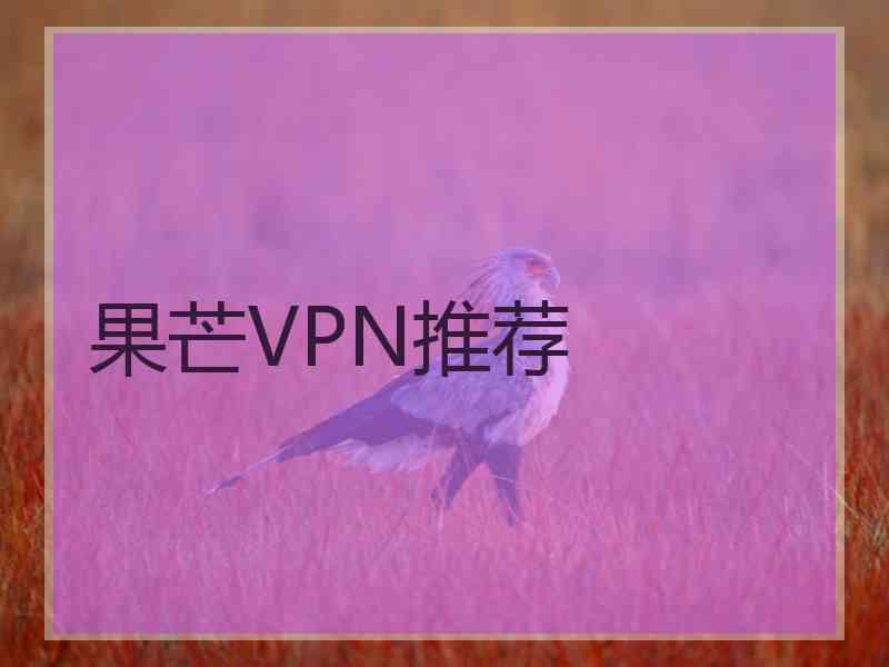 果芒VPN推荐