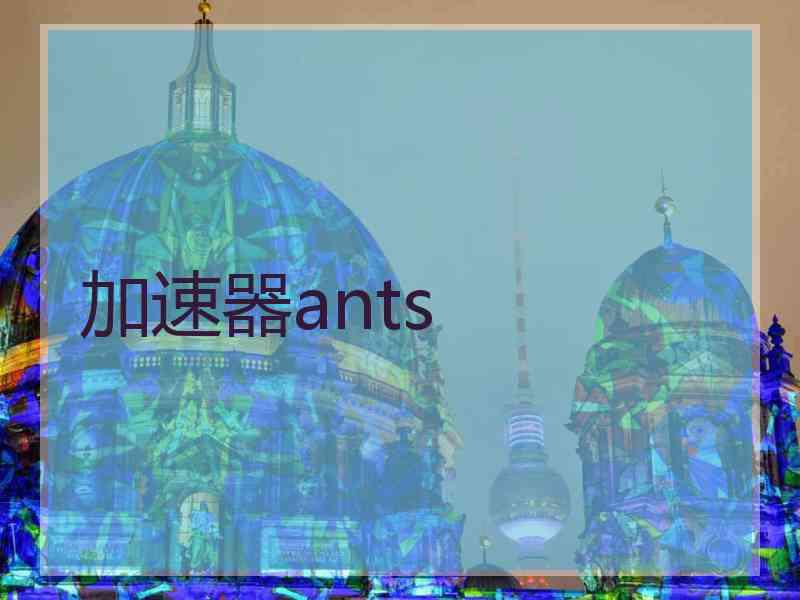 加速器ants