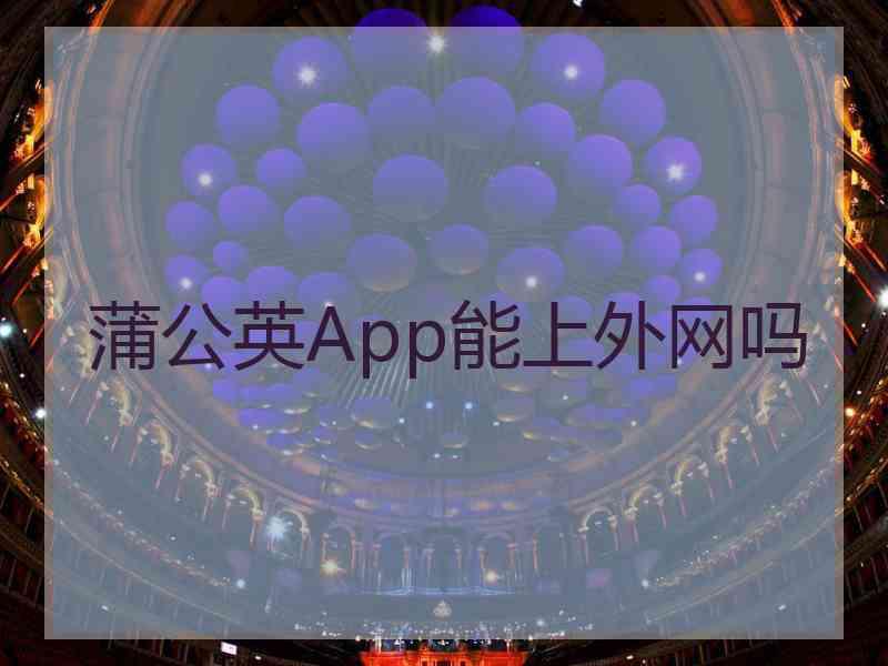 蒲公英App能上外网吗